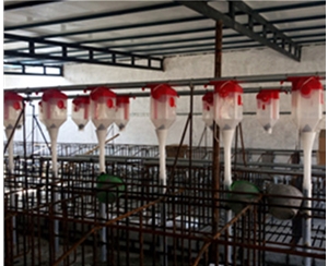 杭州养猪自动化料线